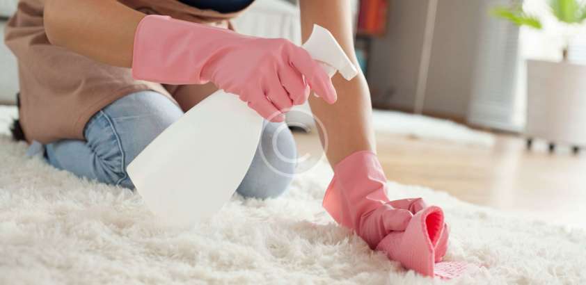 Pros, Cons and Costs: Carpet Cleaning